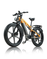 PH003 Ebike