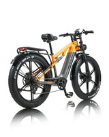 PH003 Ebike