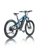 PH001 Ebike