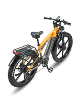 PH003 Ebike