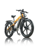 PH003 Ebike