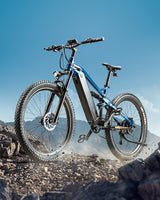 PH001 Ebike